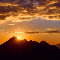 /content/images/pages/201/zoomi_photo_mltv7068.jpg
